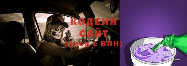 соль ск Козловка