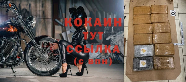 ПСИЛОЦИБИНОВЫЕ ГРИБЫ Корсаков