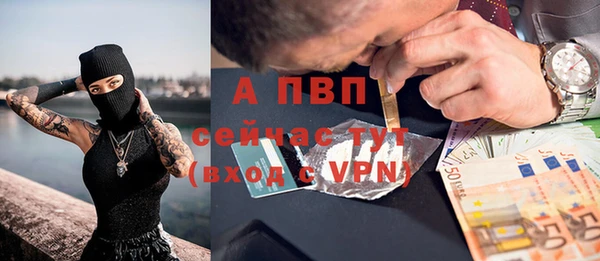 ПСИЛОЦИБИНОВЫЕ ГРИБЫ Корсаков
