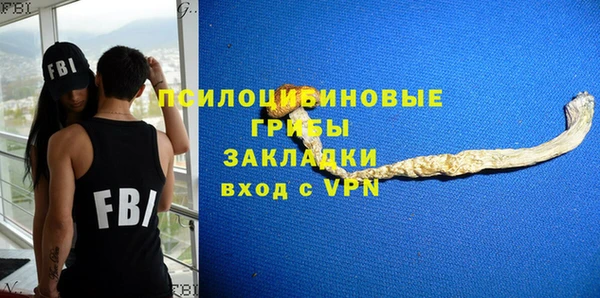 мяу мяу мука Кодинск