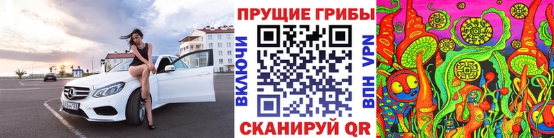 Купить закладки  Дмитров  Галлюциногенные грибы GOLDEN TEACHER 